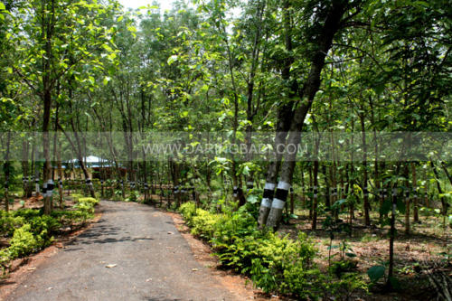 chermeria bungalow