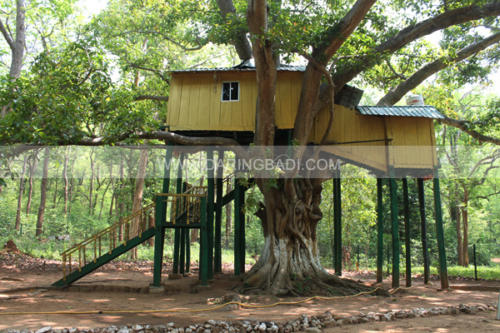 gunduribari tree house