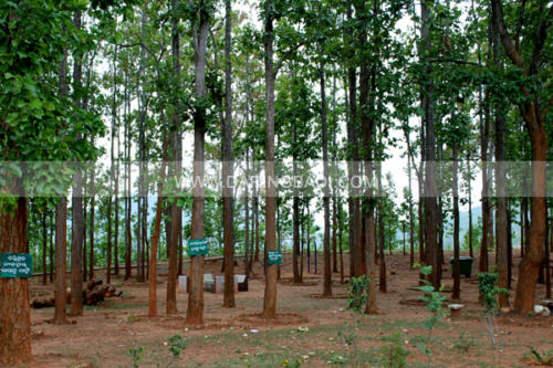 mandasaru park